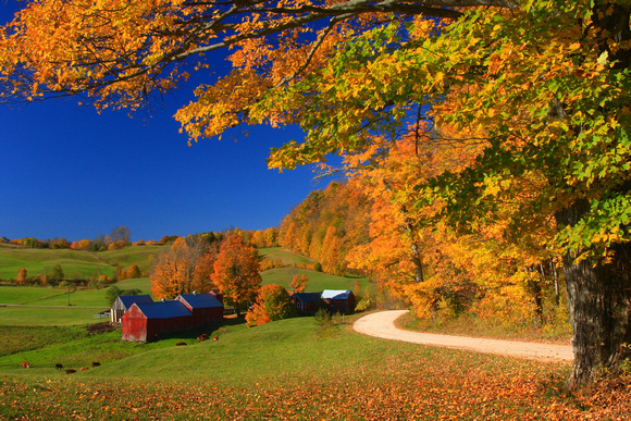 Vermont Farm Two