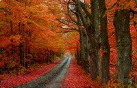 Fall Road 2005